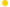 bullet